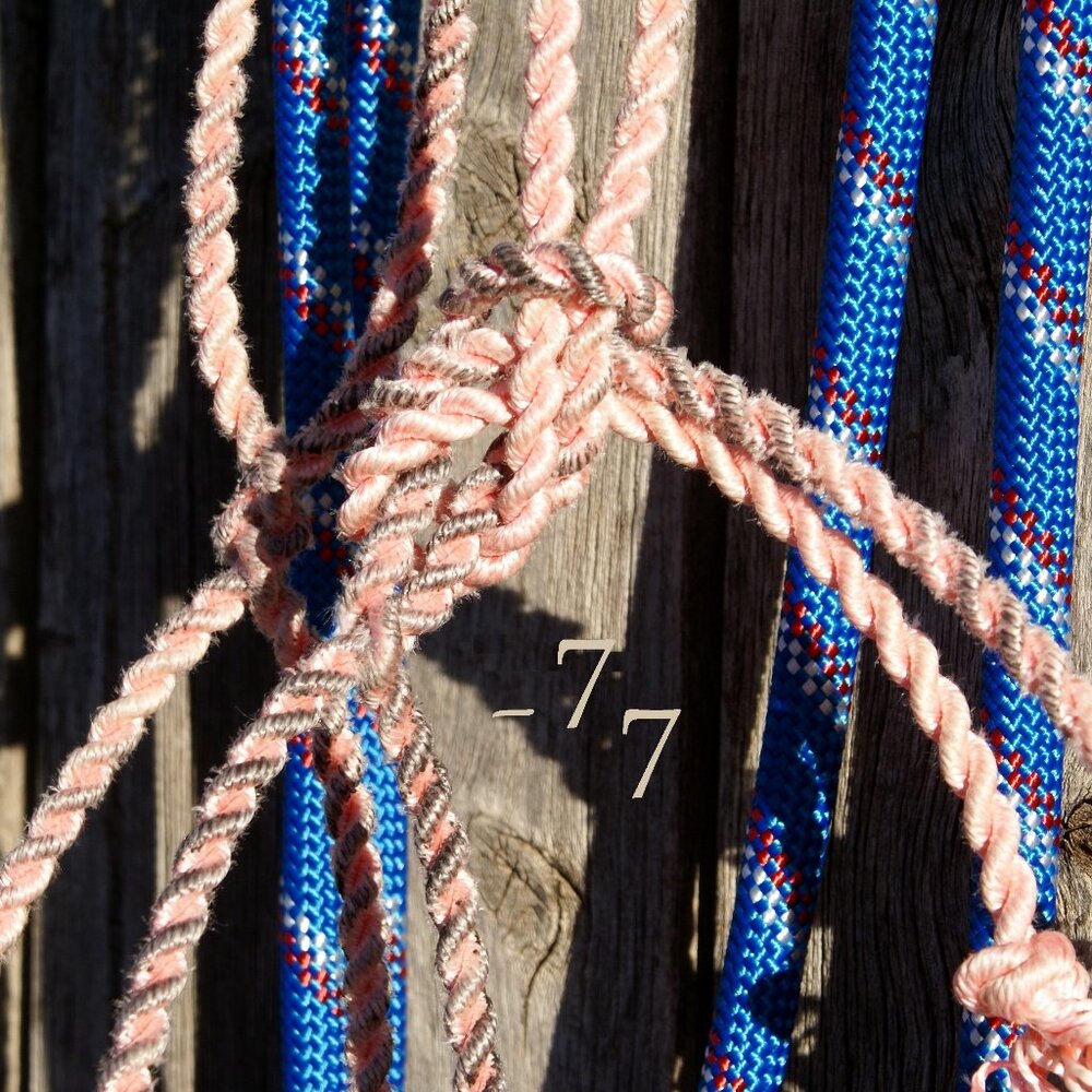 NEW Handmade Fully Rigged Lariat Rope Loping Halter Hackamore - Arab/Cob Size - Picture 7 of 9